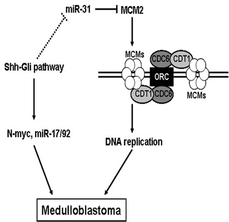 fig5
