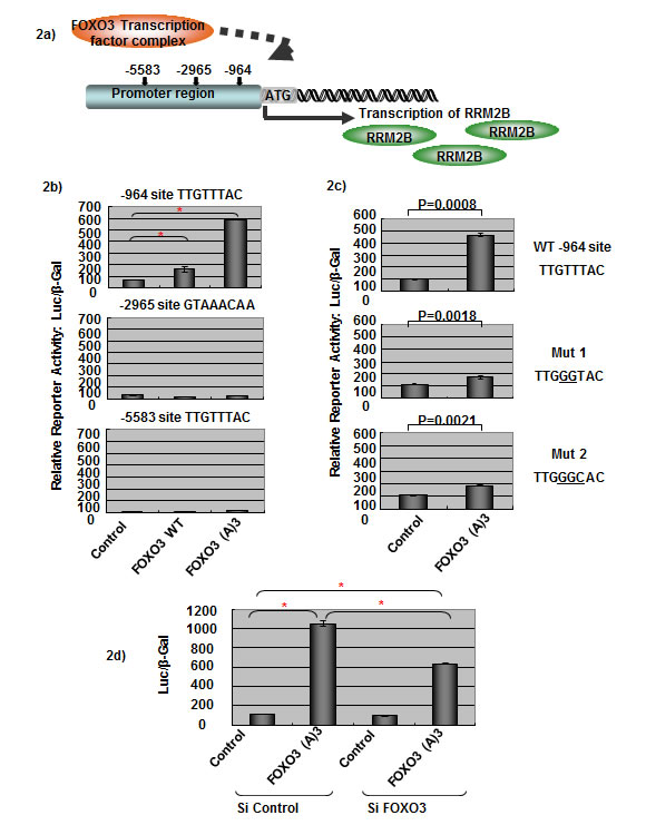 fig2