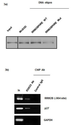 fig3