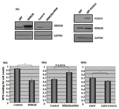 fig4