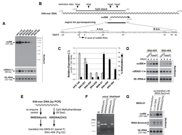 fig2
