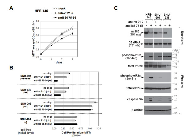 fig6