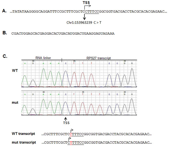 fig1