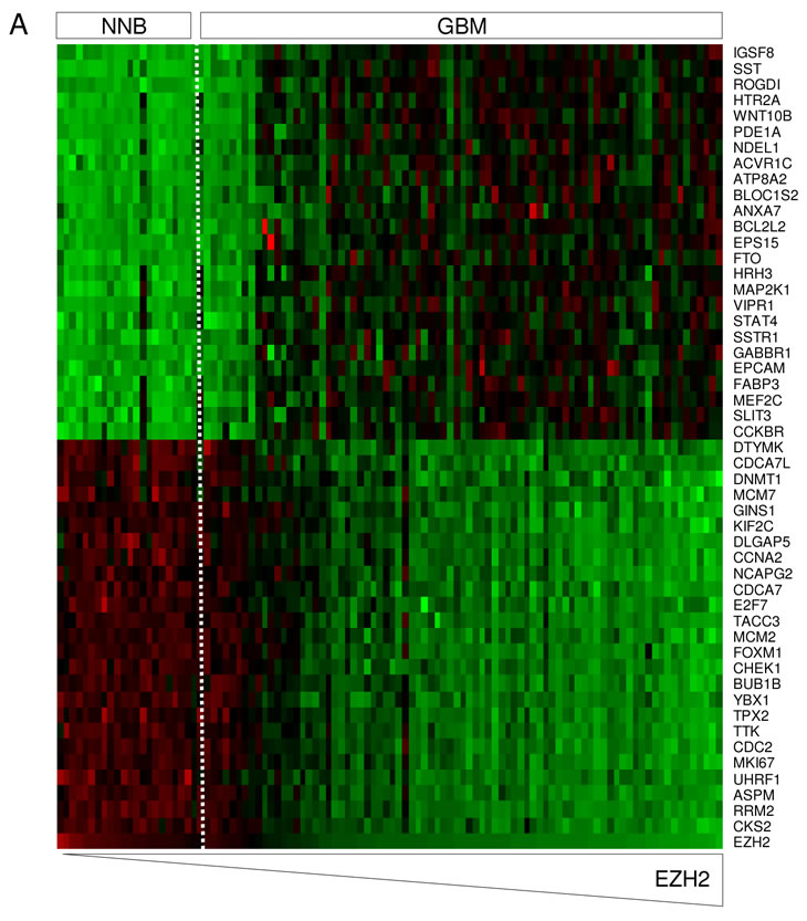 SmitsFiguresOncotarget.pdf