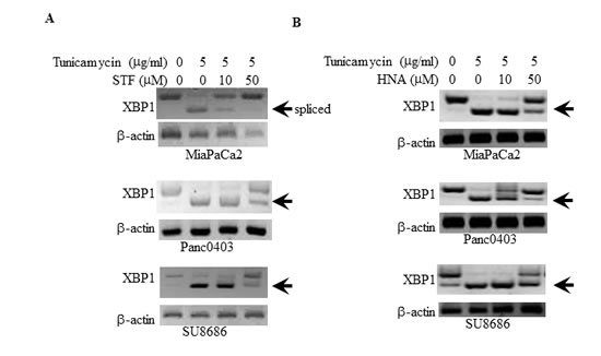 fig1