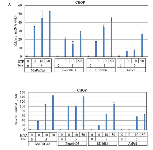 fig11a