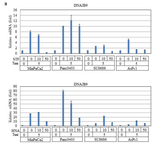 fig11b