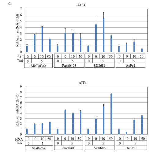 fig11c