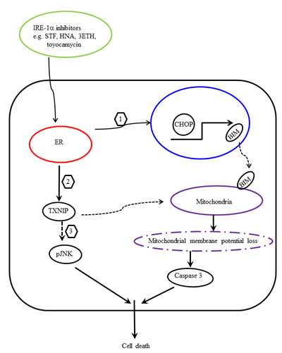 fig13