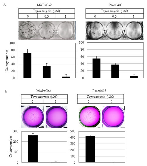 fig3AB