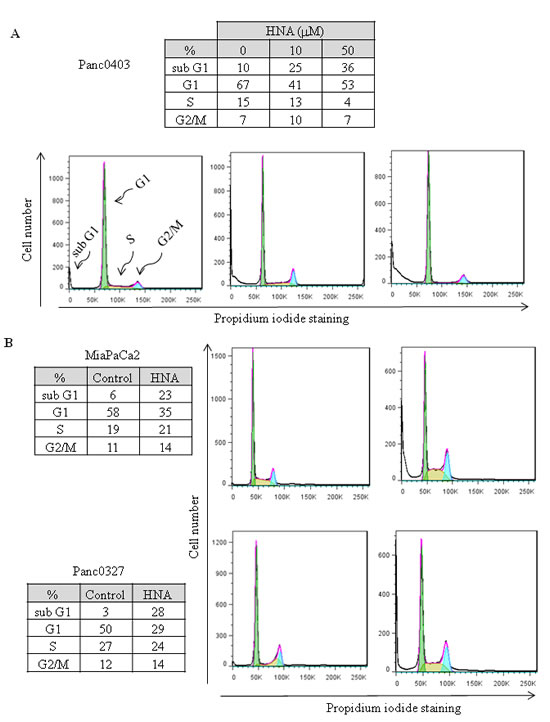 fig8