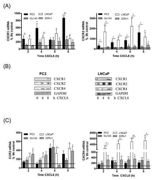 fig1