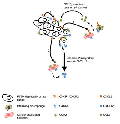fig7