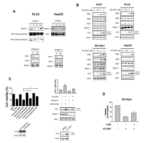 fig2