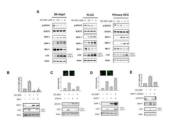 fig3