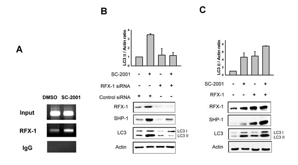 fig4