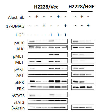 fig3