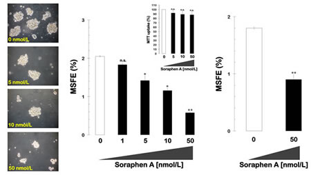 fig1