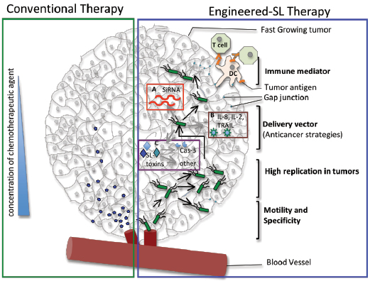 Wall et al.OT.rev.pdf