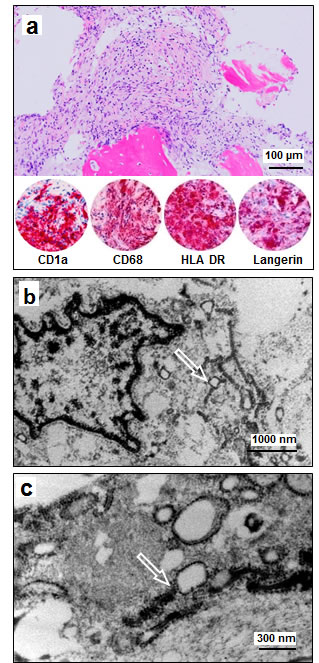 fig3