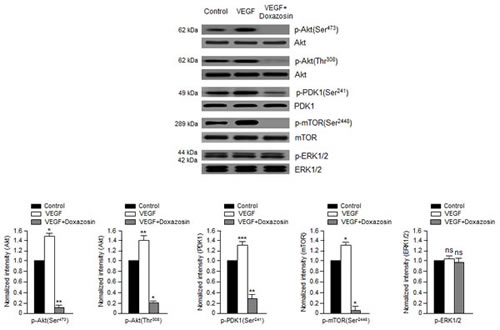 fig3