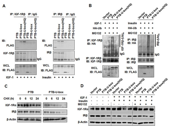 fig2