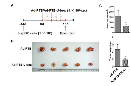 fig6