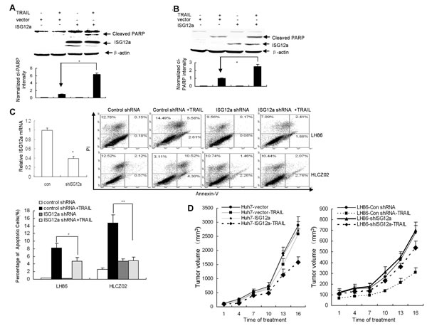 fig3