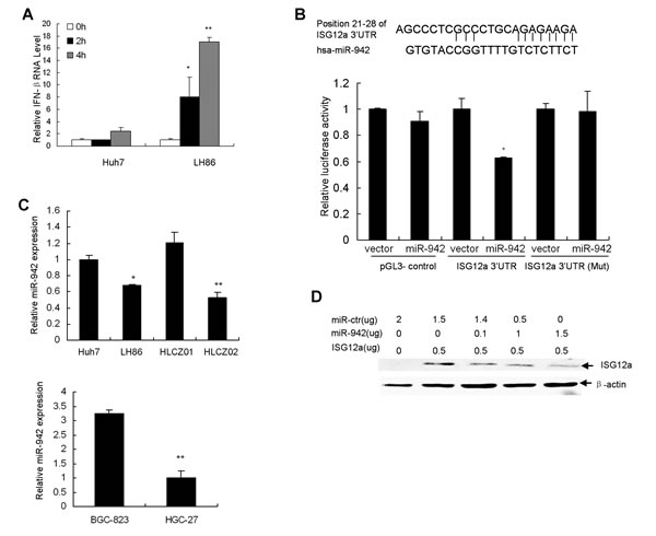 fig4