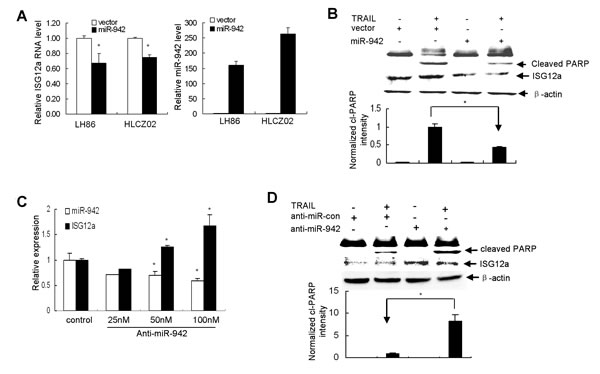fig6
