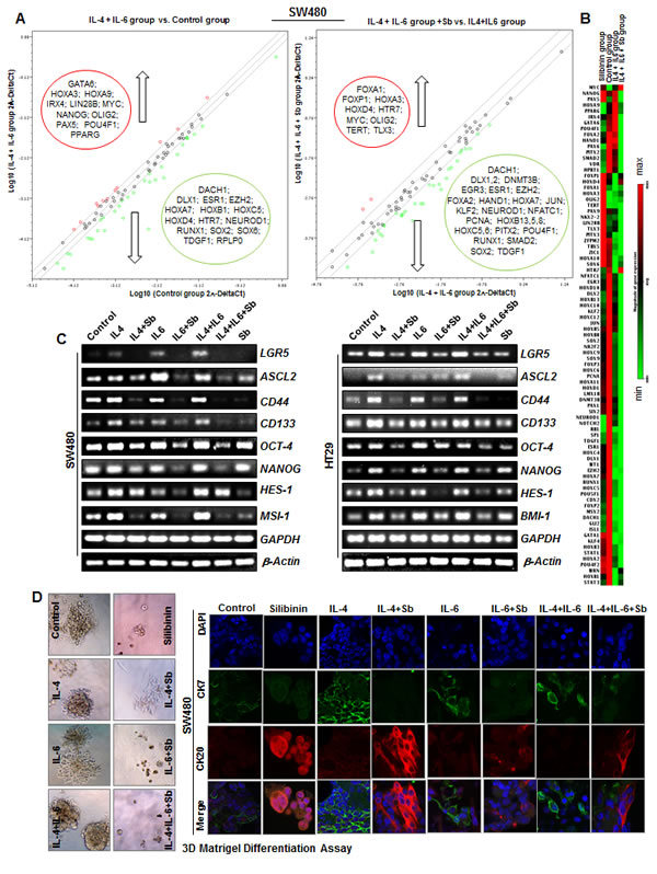 fig6