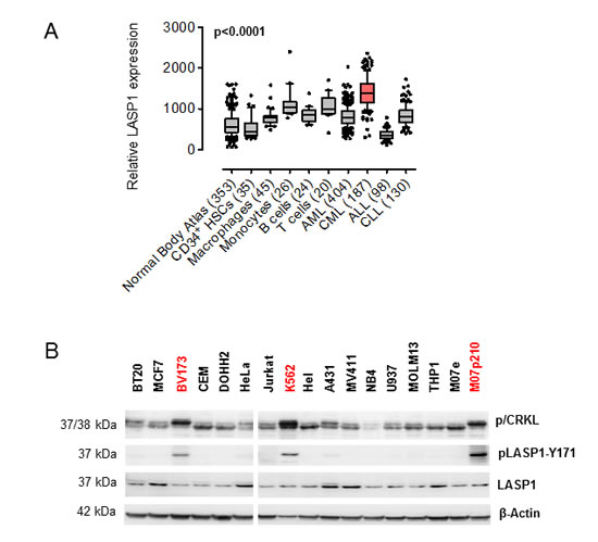 fig1