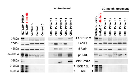 fig2