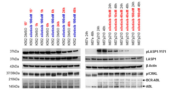 fig3