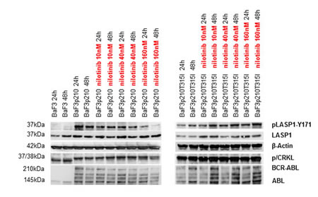fig4