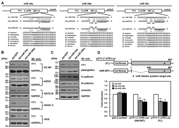 fig2