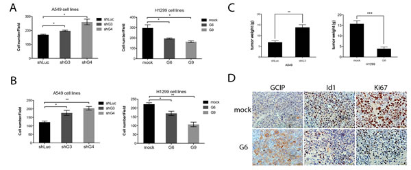 fig4