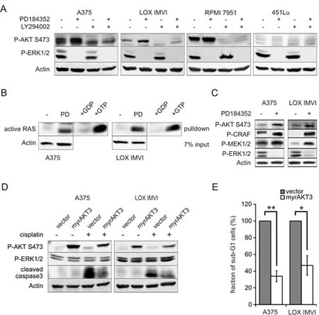 fig2