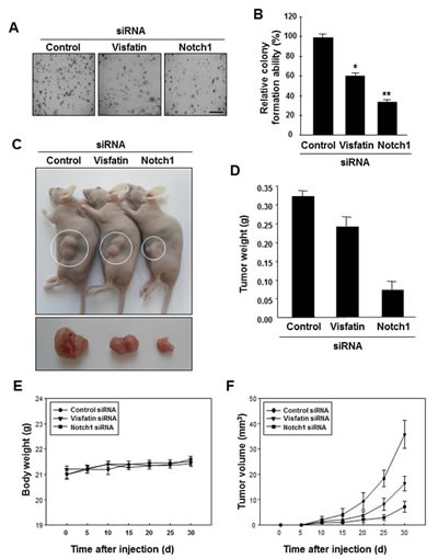 fig4a-f