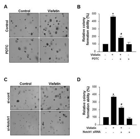 fig6