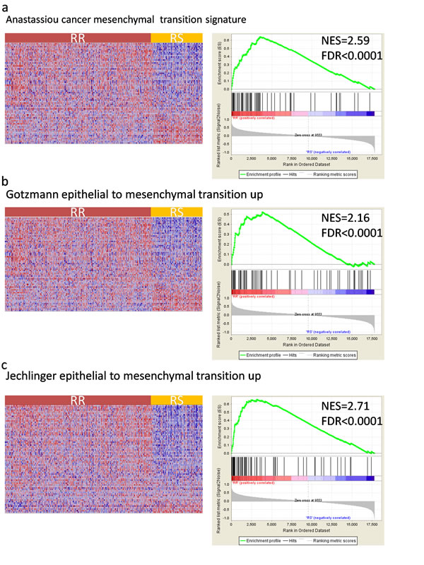 fig3