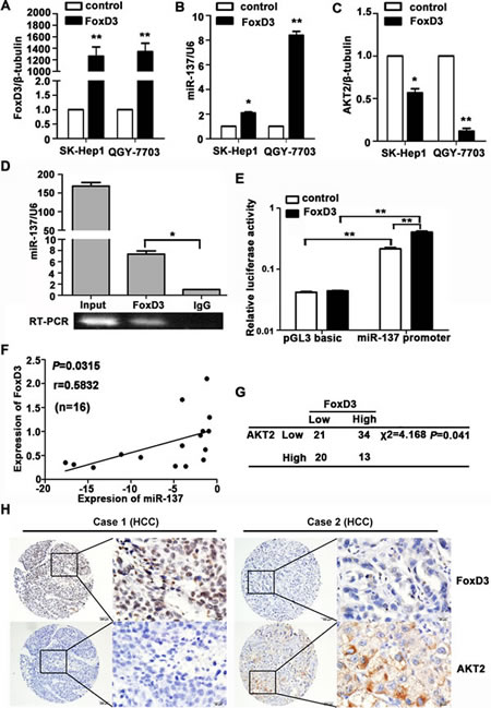 fig6
