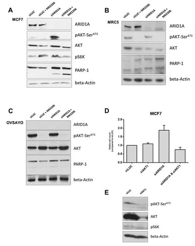 fig2