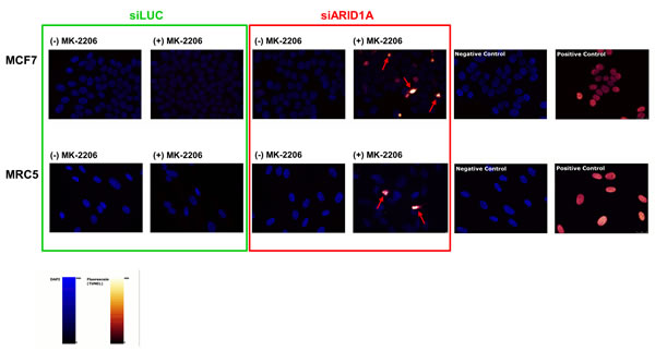 fig3