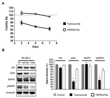 fig2