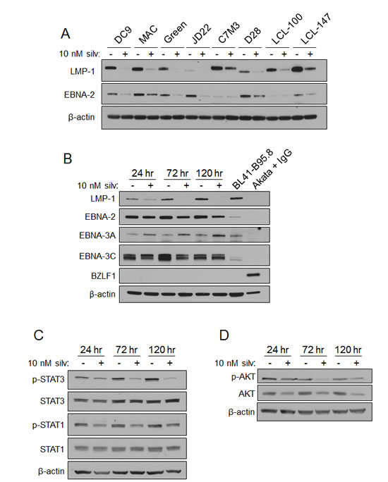 fig1