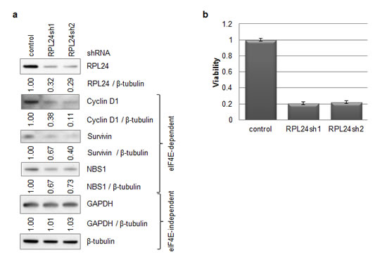 fig2