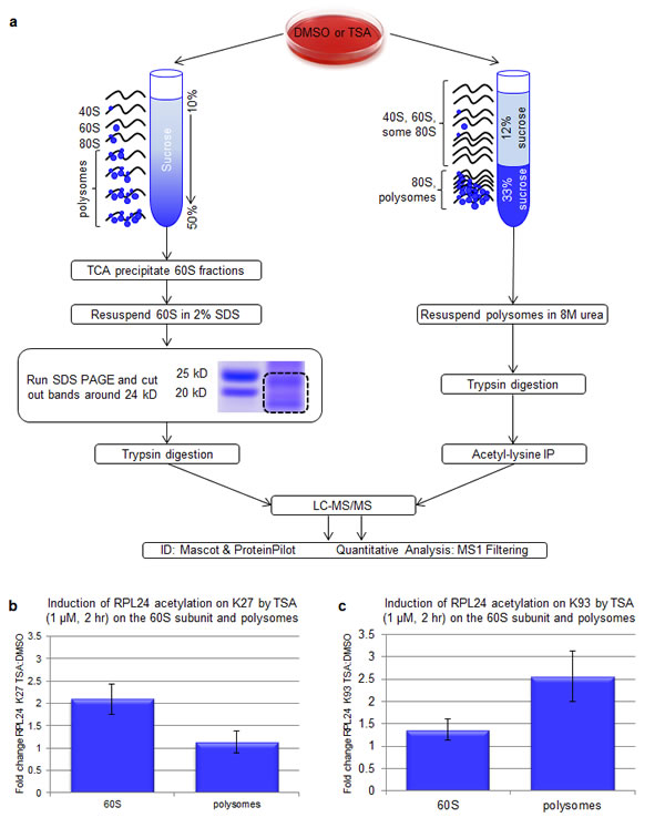 fig6