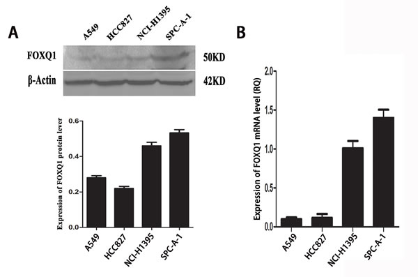 fig1