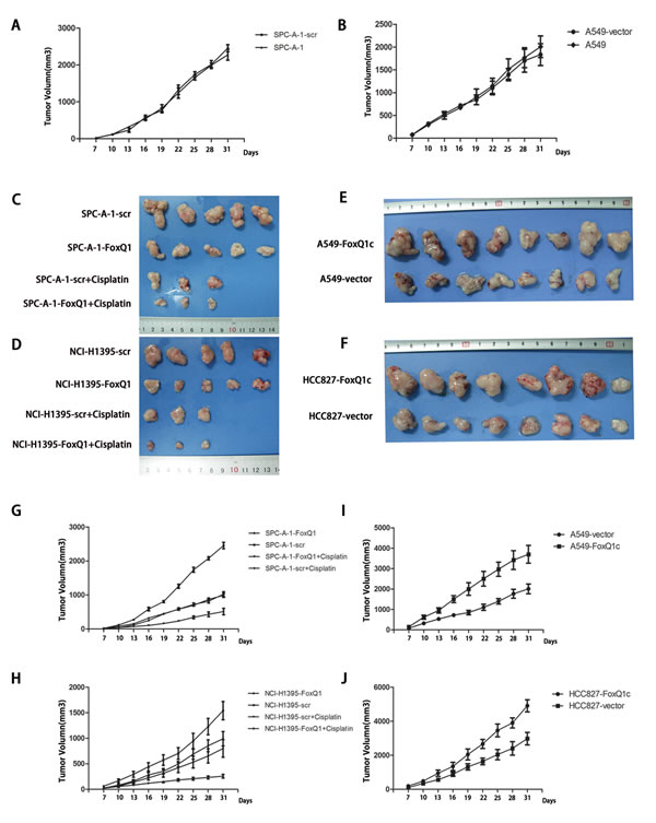 fig3